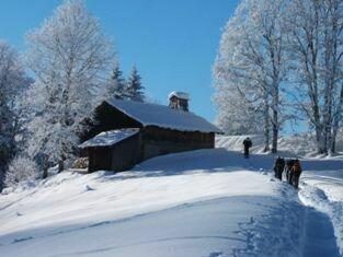 Que de la poudre, des rires et de bonnes sorties Que de la poudre, des rires et de bonnes sorties