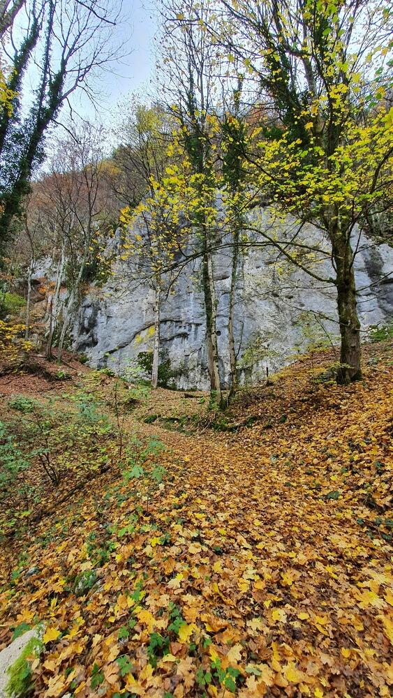 l'attaque! l'attaque!