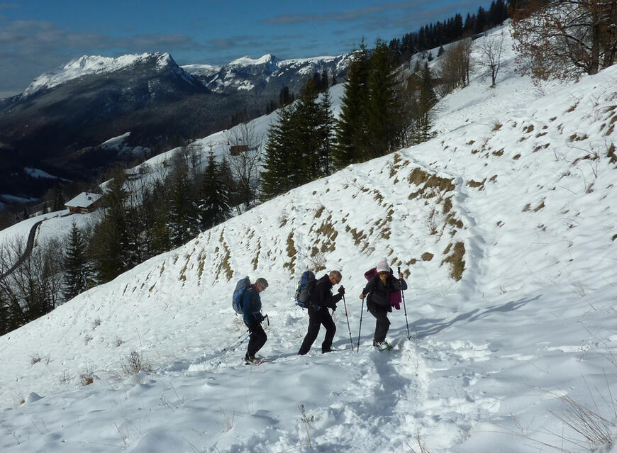 Montée hors sentier Montée hors sentier