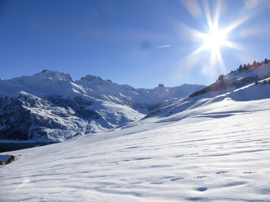 Belle moquette ! Belle moquette !