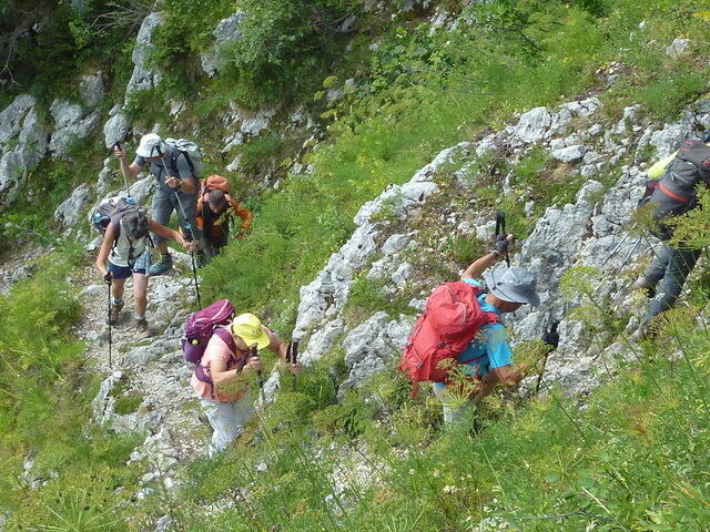 Un bon escalier... Un bon escalier...