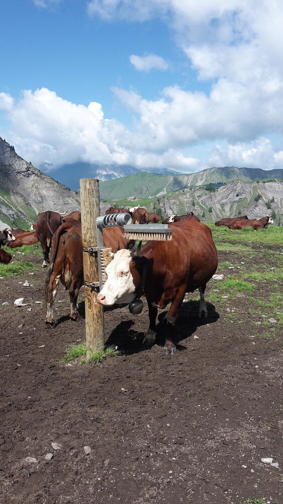 Fashion vitctime!! Fashion vitctime!!