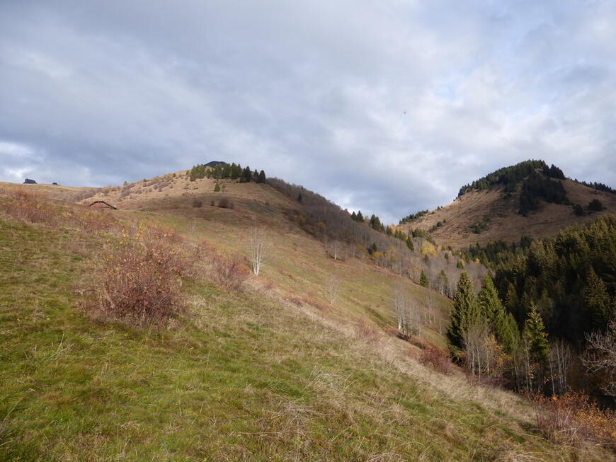 Praz Véchin Praz Véchin