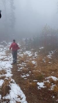 loup y es-tu? !! loup y es-tu? !!