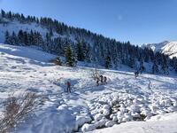 Dans la montée Dans la montée