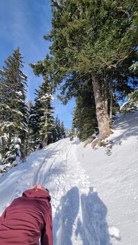 Montée ensoleillée Montée ensoleillée