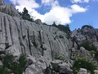 sculptures.. sculptures..