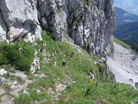 Un peu de verdure dans cette grisaille. Un peu de verdure dans cette grisaille.