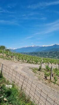 On va quitter les vignes On va quitter les vignes