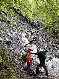 Les ruisseaux ruissellent Les ruisseaux ruissellent