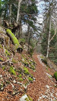 joli chemeinement joli chemeinement