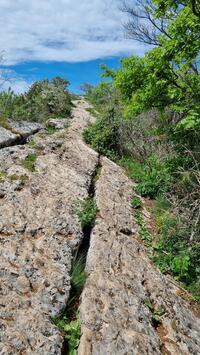 Un peu de lapait Un peu de lapait