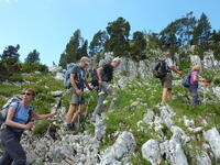 Bientôt le repas! Bientôt le repas!